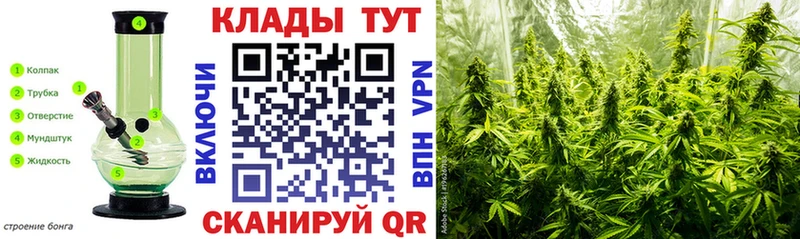Виды наркотиков купить Нефтекумск МЕТАДОН  A-PVP  ГАШИШ  COCAIN  Канабис  Галлюциногенные грибы 
