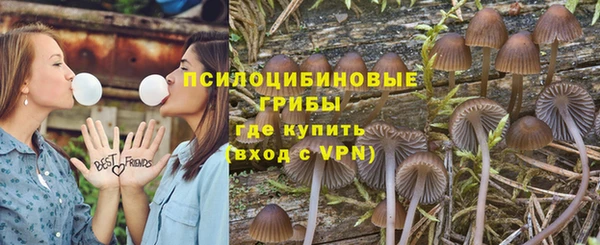 MDMA Новодвинск