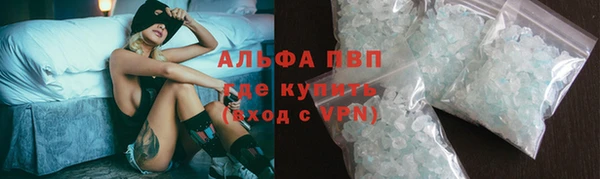 гидра Новозыбков