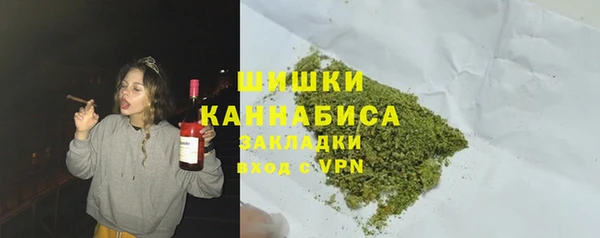 гидра Новозыбков