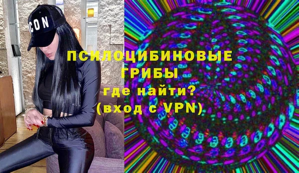 MDMA Новодвинск