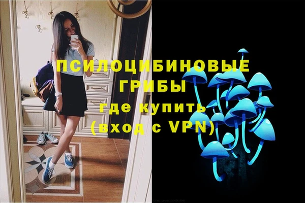 MDMA Новодвинск