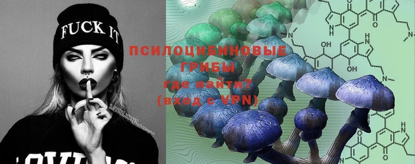 стафф Новокубанск