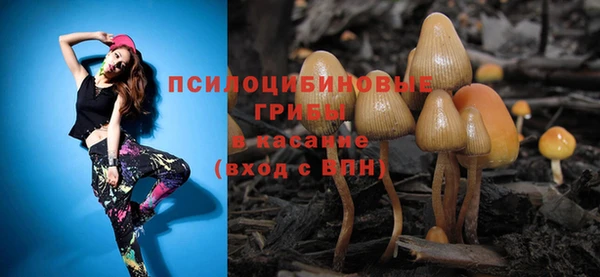 MDMA Новодвинск
