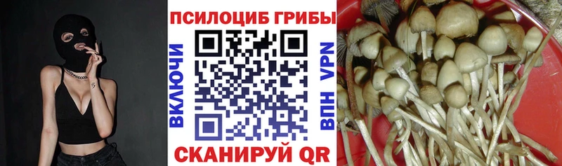 hydra онион  наркошоп  Нефтекумск  Псилоцибиновые грибы мицелий 